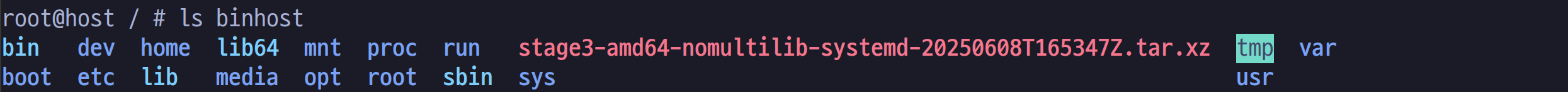 root@host / # ls binhost
bin   dev  home  lib64  mnt  proc  run
stage3-amd64-nomultilib-systemd-20250608T165347Z.tar.xz  tmp  var
boot  etc  lib   media  opt  root  sbin  sys
usr